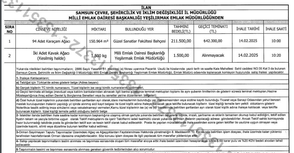Güzel Sanatlar Fakültesi'ndeki Ağaçlar Satışa Çıkartıldı! 3