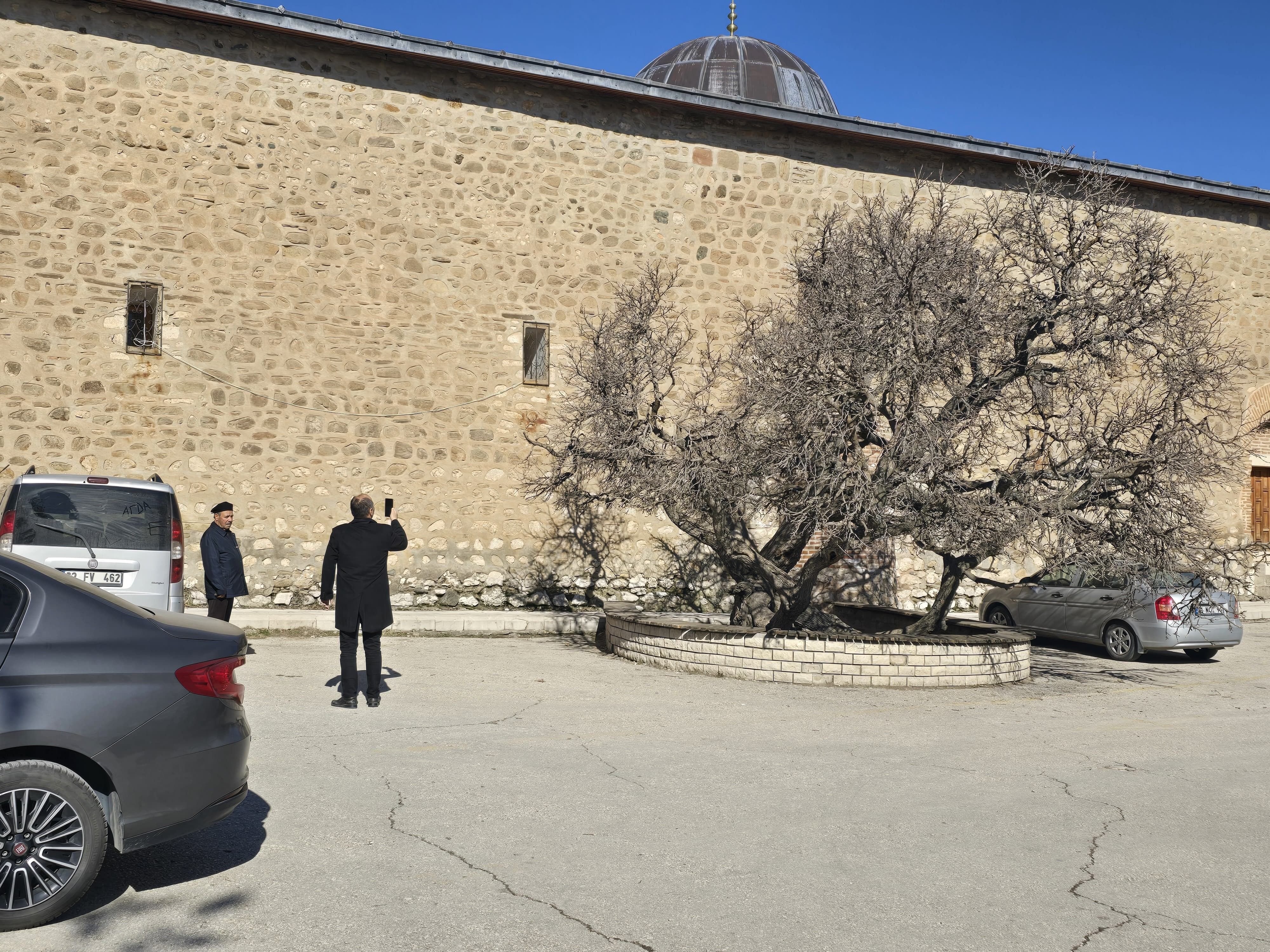 Kadir Gecesi Secde Ettiği Rivayet Edilen 133 Yıllık Dut Ağacı Görenleri Şaşkına Çevirdi (1)