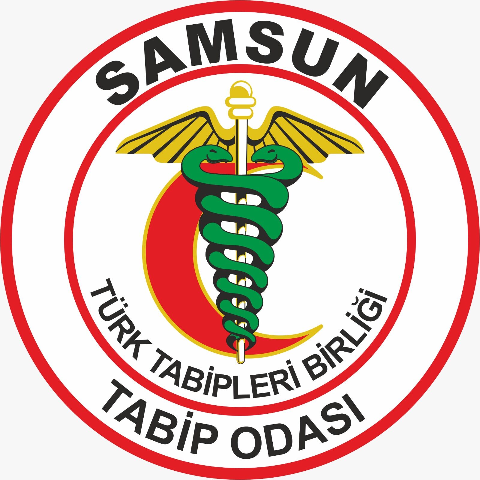 Samsun Tabip Odası'ndan Azeri Halk Mahnıları Konseri