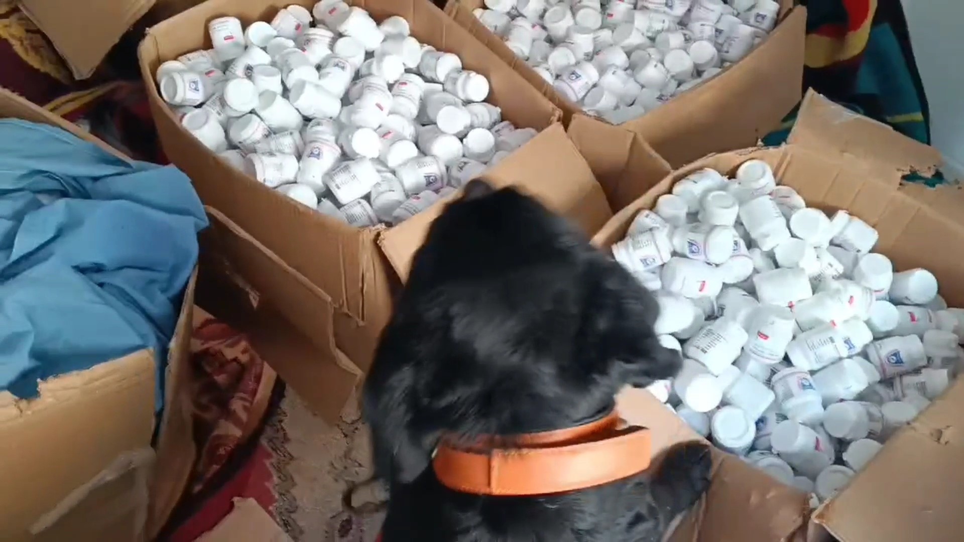 Samsun'da İkiz Kardeşler, 170 Bin 755 Adet Eczayla Yakalandı 3