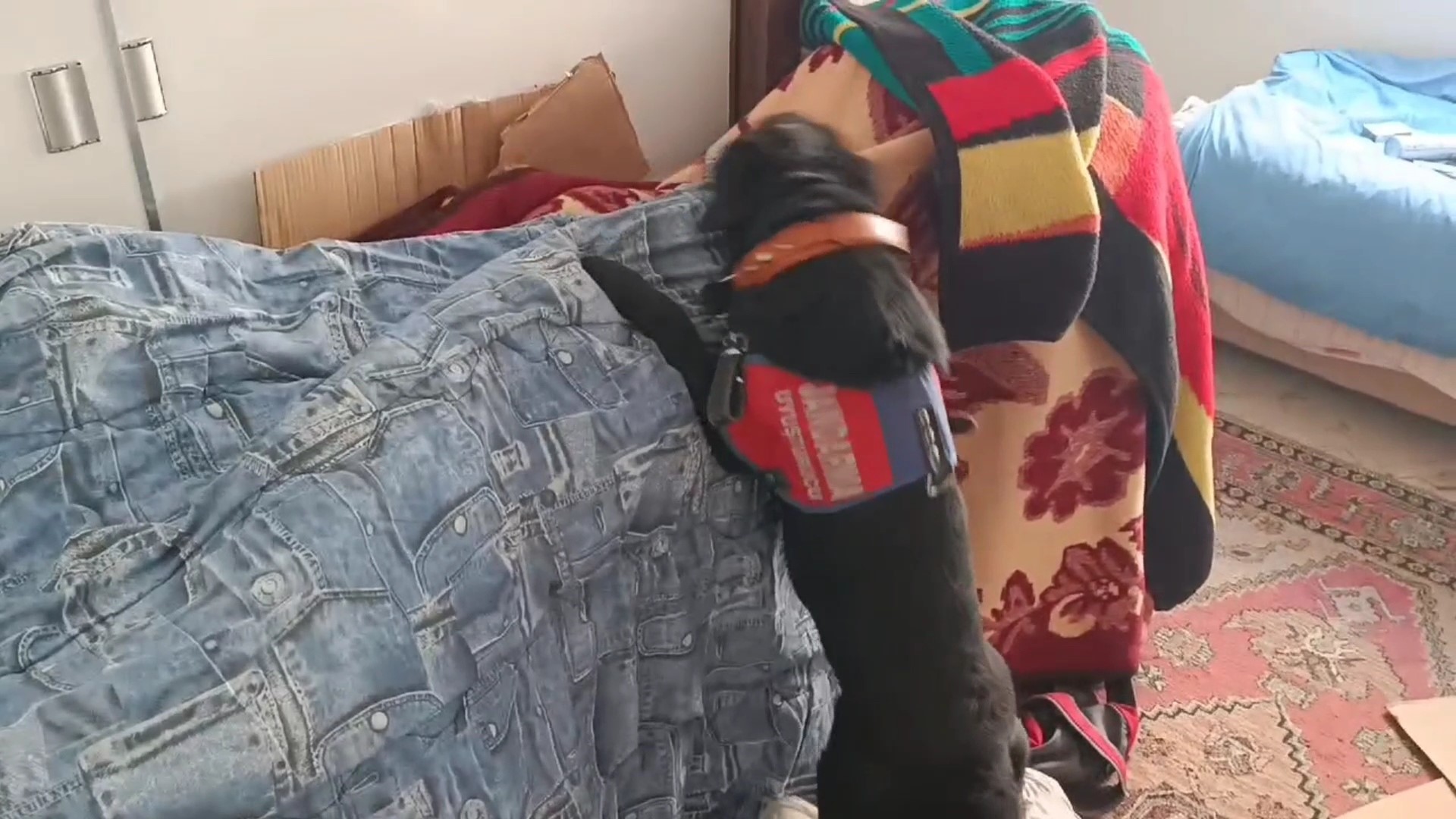 Samsun'da İkiz Kardeşler, 170 Bin 755 Adet Eczayla Yakalandı 7