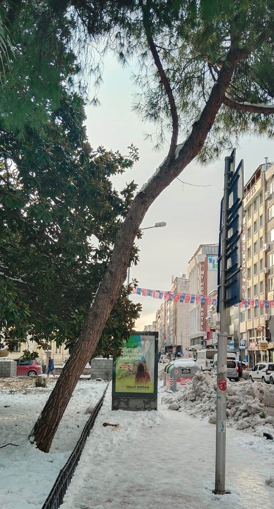 Samsun'da Kardan Zarar Gören Ağaçlar Kesilerek Kaldırıldı 5