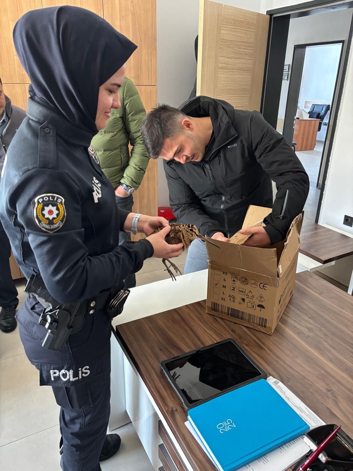 Samsun'da Yaralı Orman Çulluğuna Polis Şefkati 3