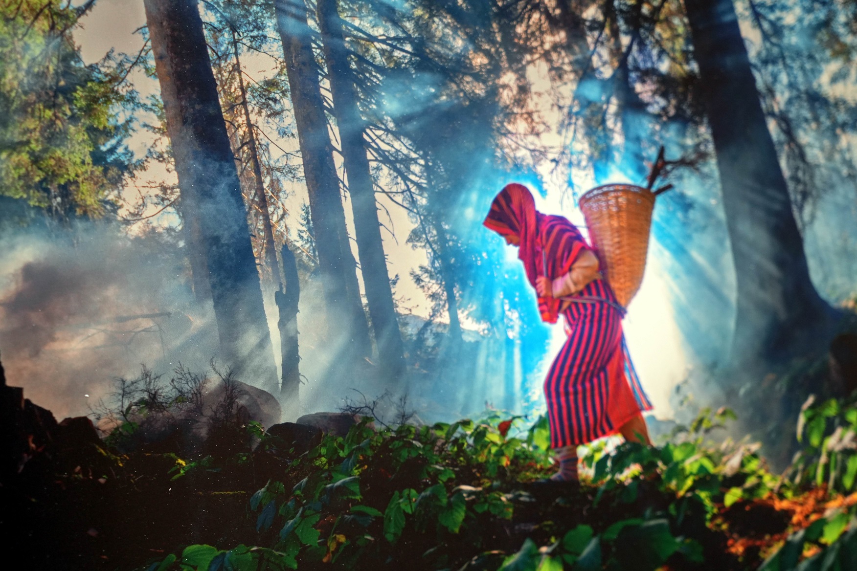 Tarım Ve İnsan Fotoğraf Sergisi Samsun’da Açıldı 2