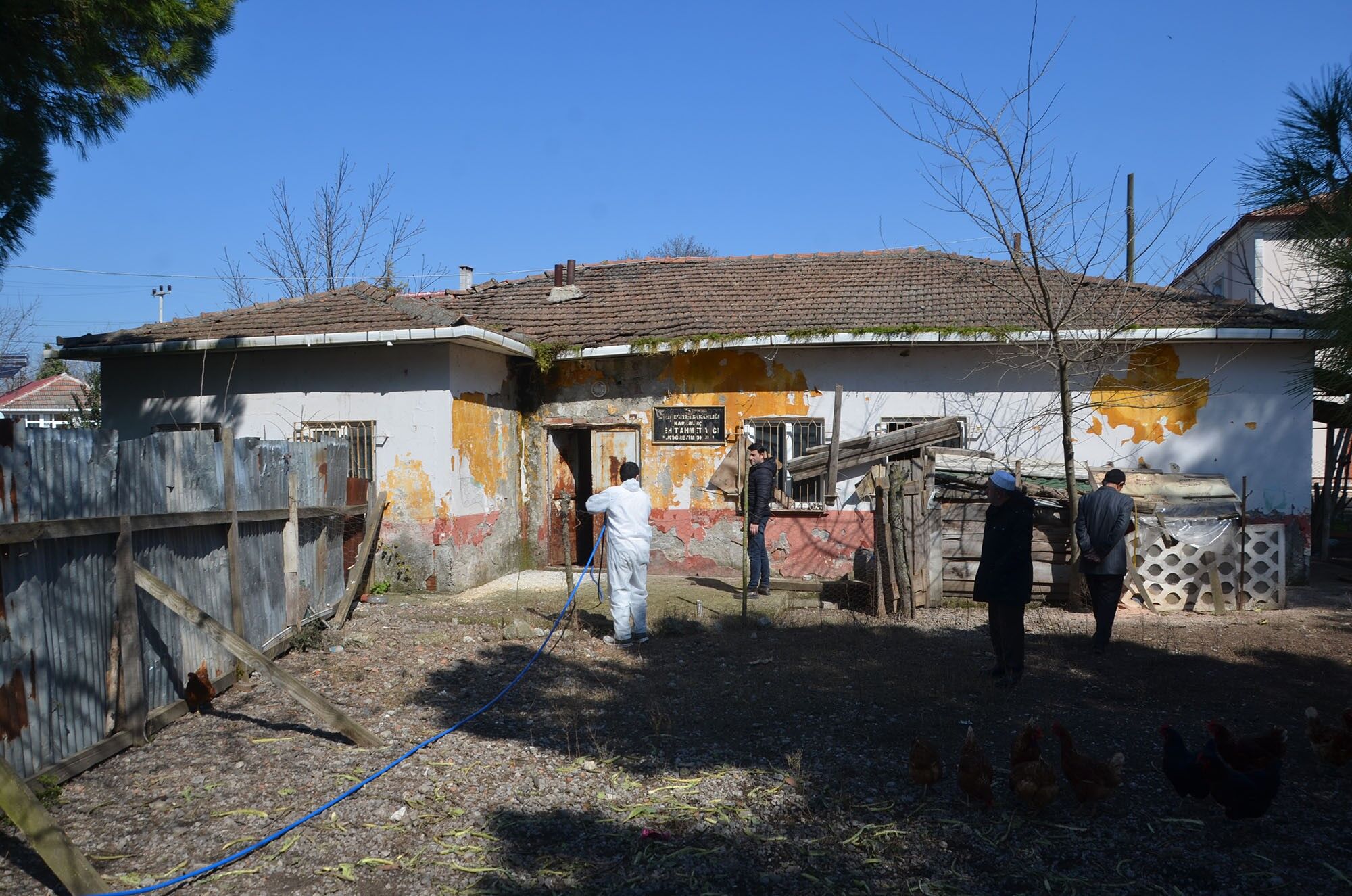 Bafra’da Kahverengi Kokarca Ile Mücadeleye Start Verildi (4)
