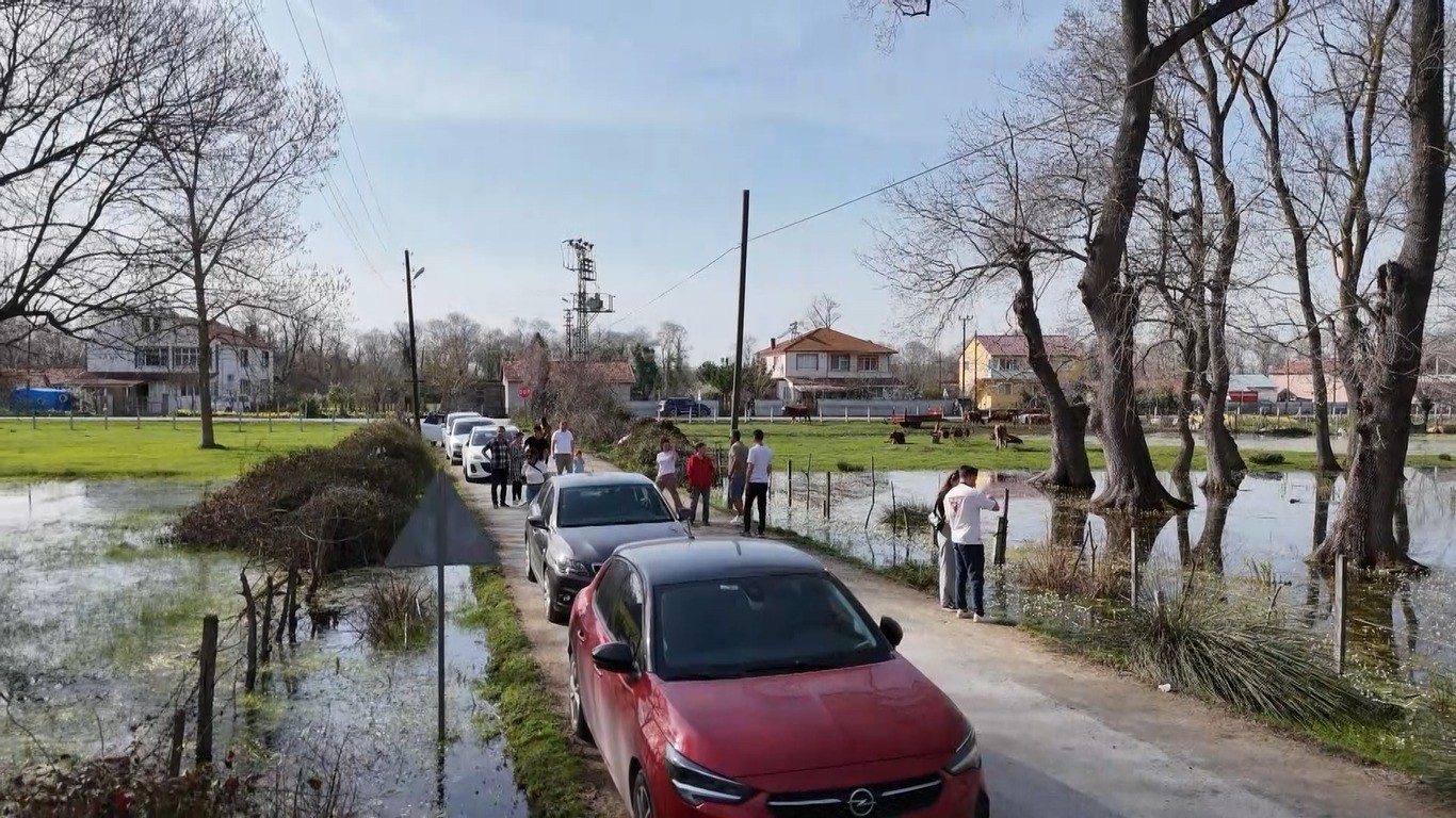 Kızılırmak Deltası'nda Açan Su Papatyalarına Yoğun Ilgi (2)