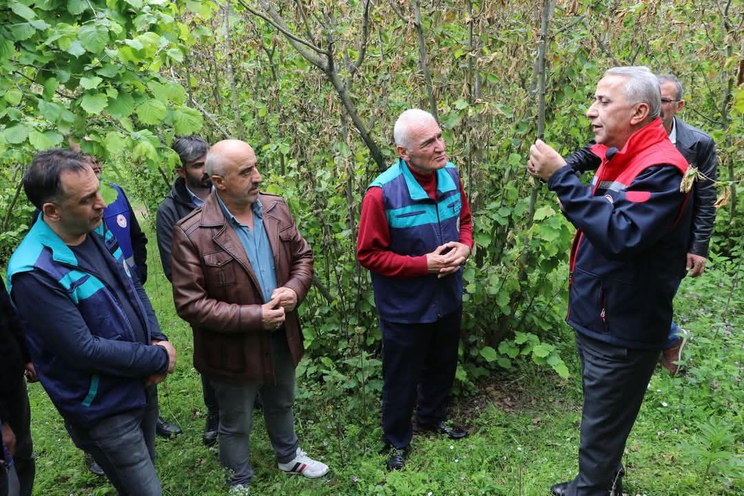 Samsun İl Tarım Müdürü Sağlam’dan Zirai Don İncelemesi (2)