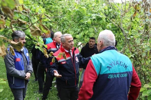 Samsun İl Tarım Müdürü Sağlam’dan Zirai Don İncelemesi (4)