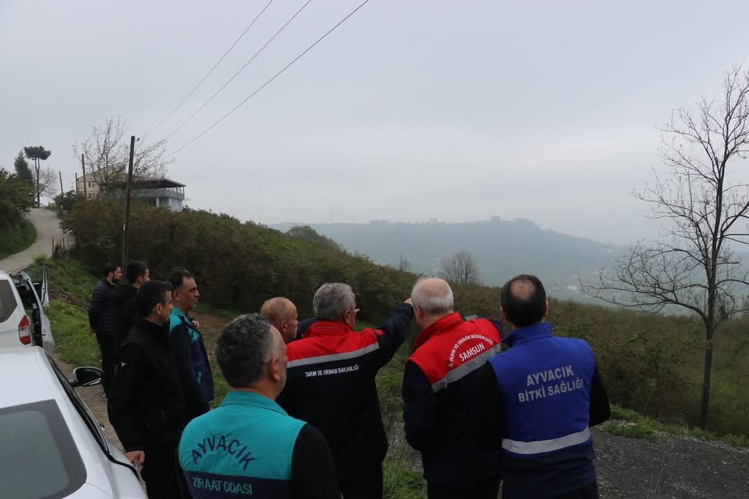 Samsun İl Tarım Müdürü Sağlam’dan Zirai Don İncelemesi (5)