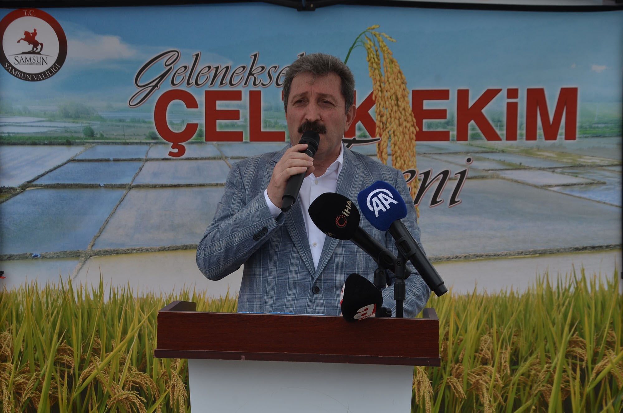 Bafra Ovası’nda 10. Çeltik Ekim Günü (3)