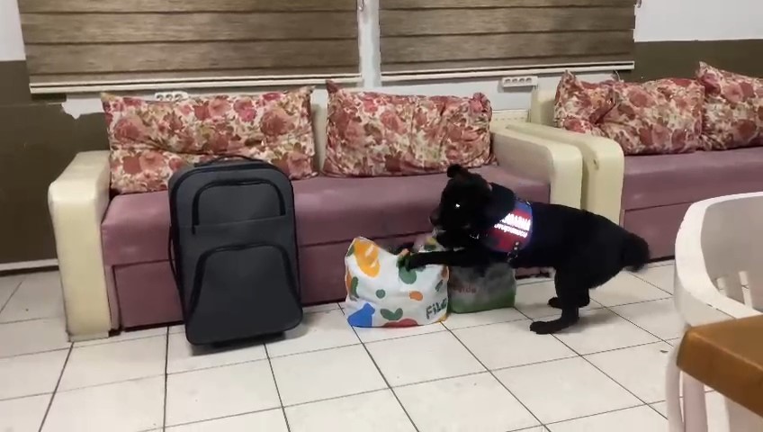 Samsun'da Uyuşturucu Operasyonu (2)