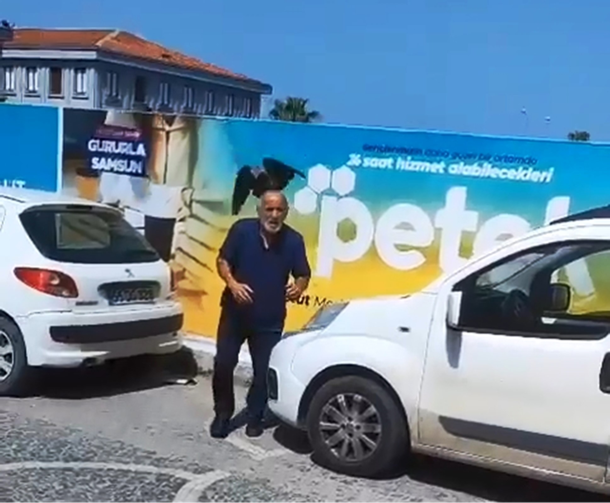Yavruyu Kurtarmak Istedi, Kargaların Hedefi Oldu (2)