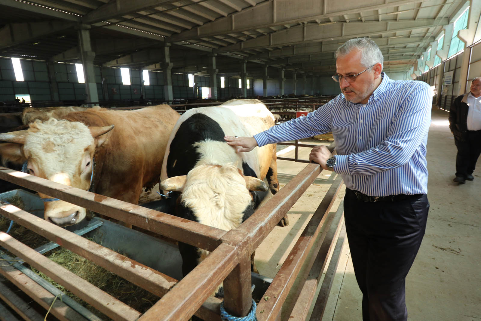 Başkan Hamit Kılıç’tan Kurban Bayramı Öncesi Hayvan Pazarı Ziyareti (4)