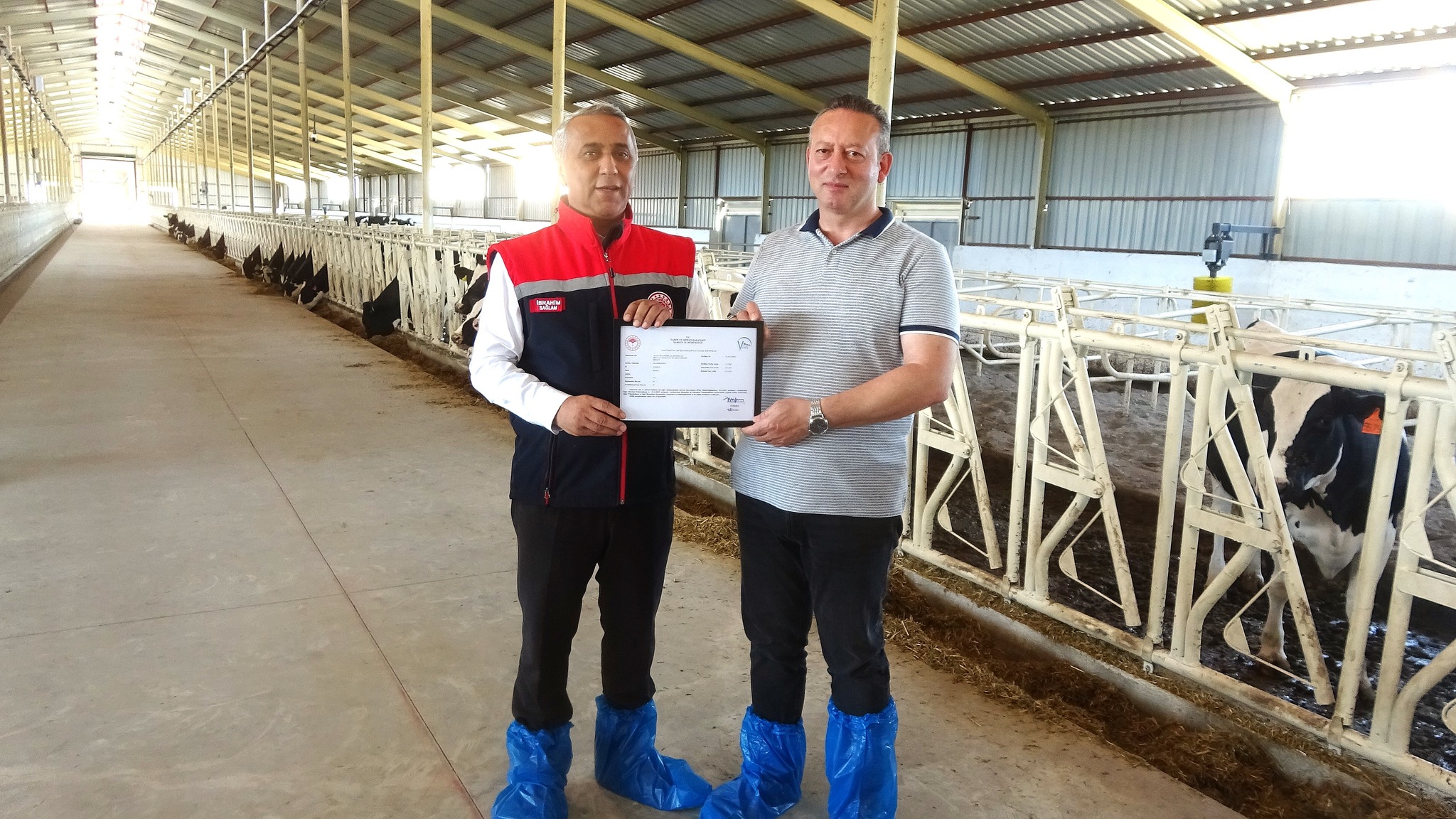 Damsan’dan Ari İşletme Sertifikalı Hayvancılığa Büyük Yatırım 2