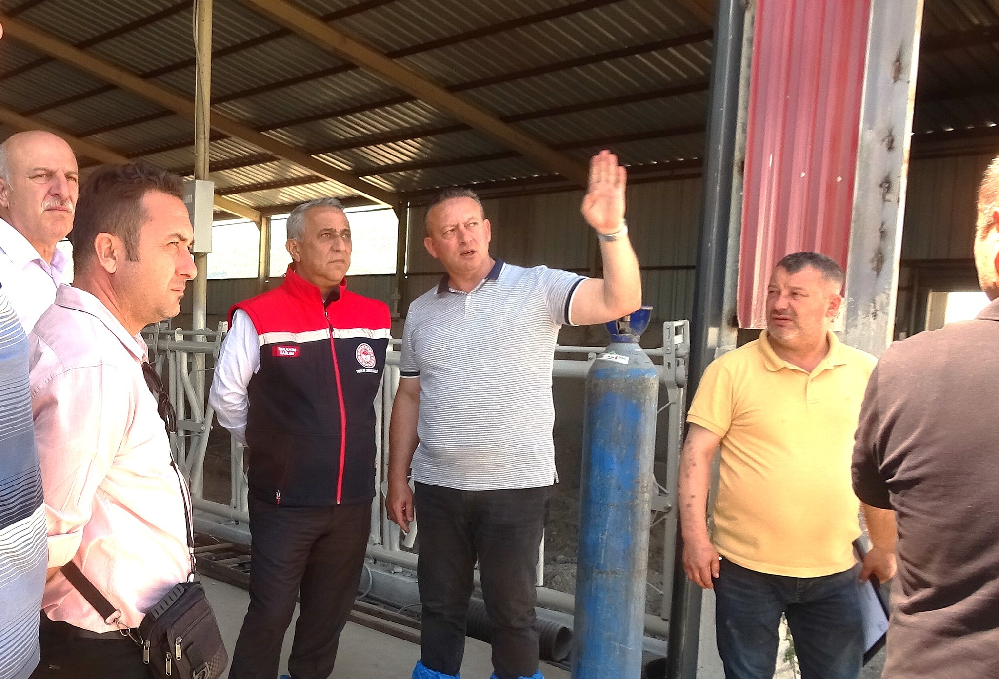 Damsan’dan Ari İşletme Sertifikalı Hayvancılığa Büyük Yatırım 3