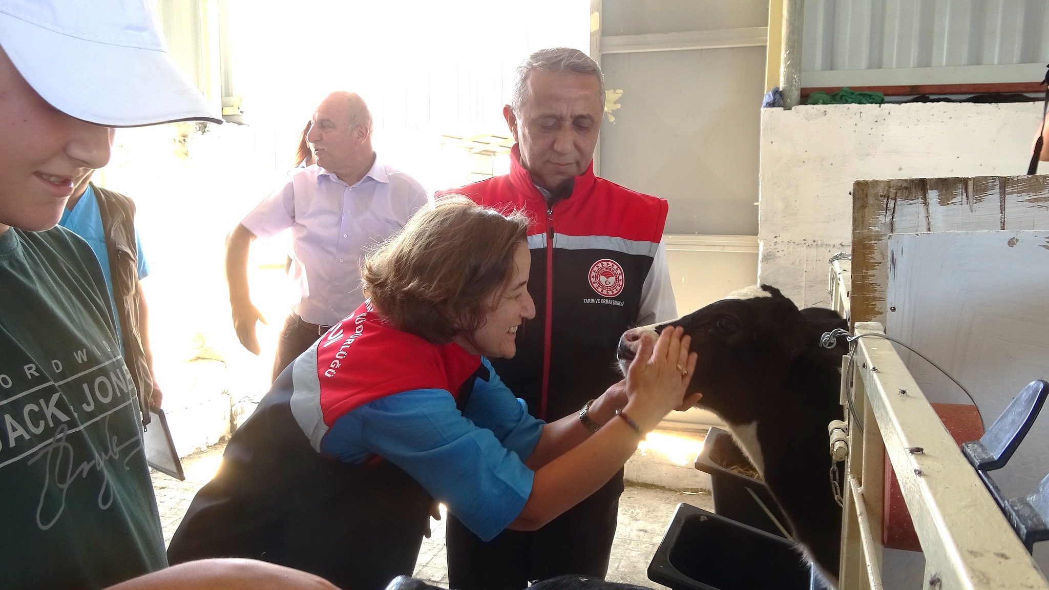 Damsan’dan Ari İşletme Sertifikalı Hayvancılığa Büyük Yatırım 4