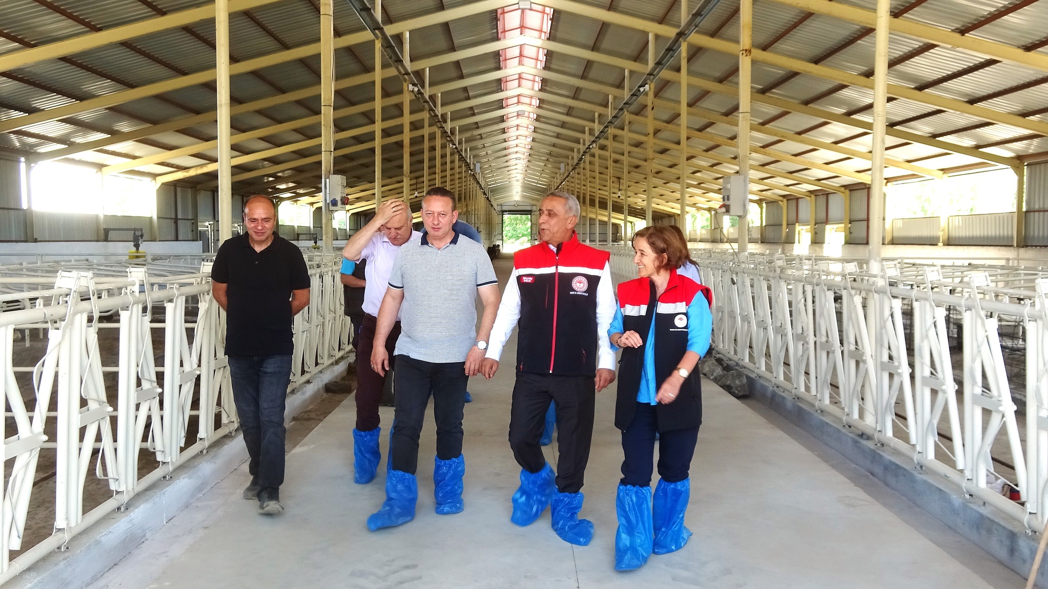 Damsan’dan Ari İşletme Sertifikalı Hayvancılığa Büyük Yatırım 5