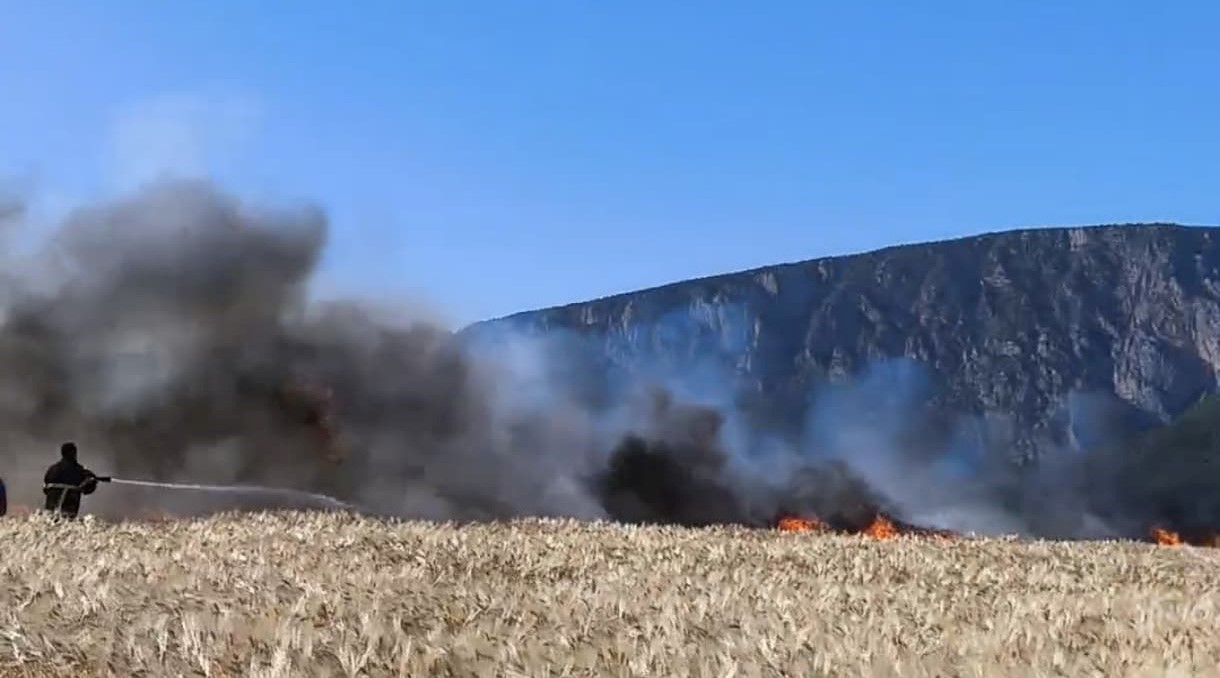 Vezirköprü’de Tarlalar Alev Aldı