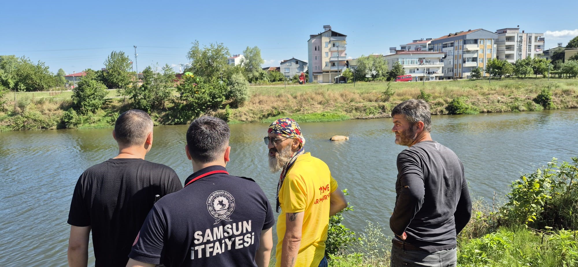 Samsun’da Irmağa Düşen Büyükbaş Hayvan Telef Oldu1