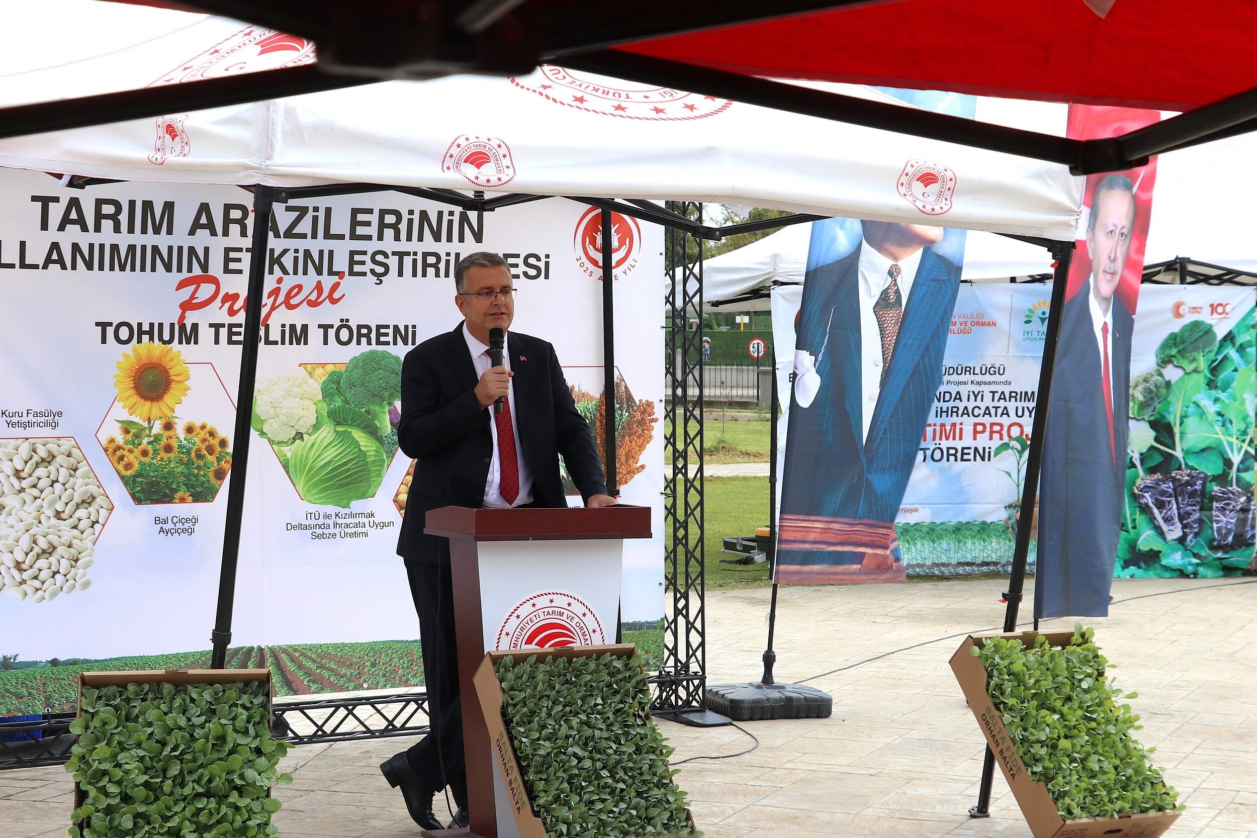 Bafra Ovası’nda Ihracata Uygun Sebze Üretilecek (1)