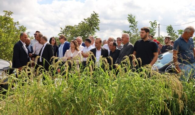 “Alaçam Ilçesinde Çeltik Üreticilerin Hasada Basladı (4)