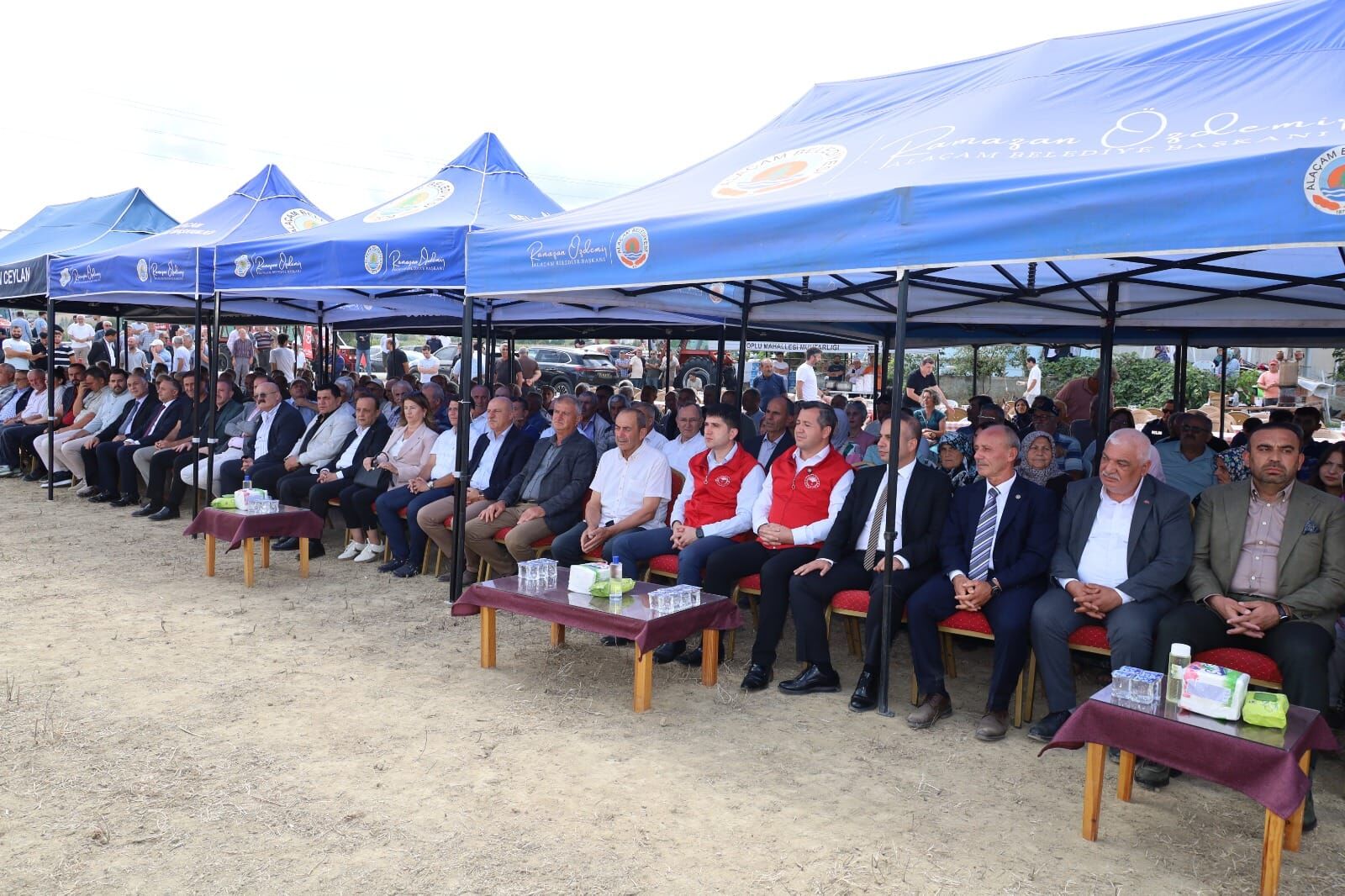 “Alaçam Ilçesinde Çeltik Üreticilerin Hasada Basladı (8)