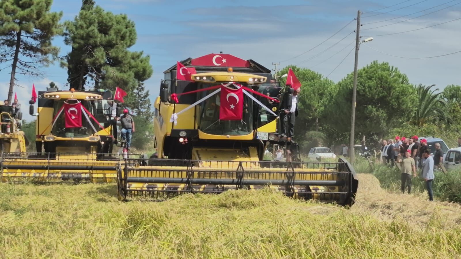 “Alaçam Ilçesinde Çeltik Üreticilerin Hasada Basladı (9)