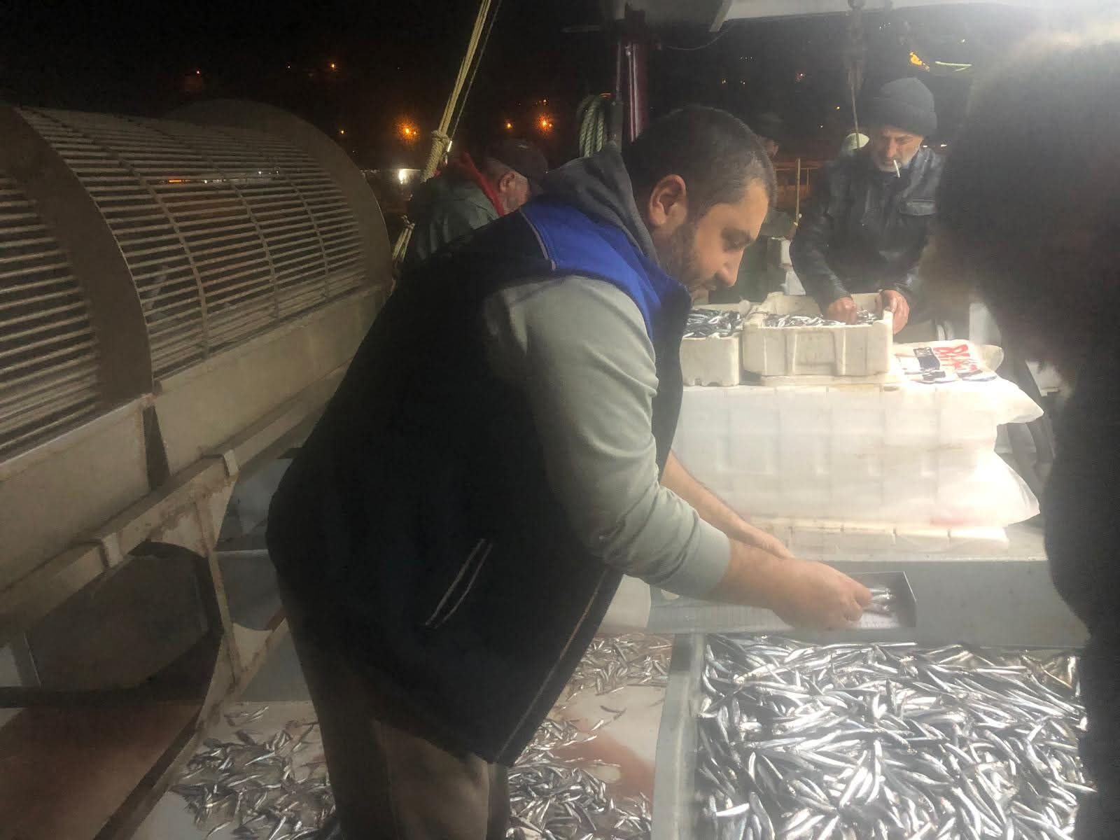 Samsun'da Hamsi Avcılığında Denetimler Aralıksız Devam Ediyor (1)