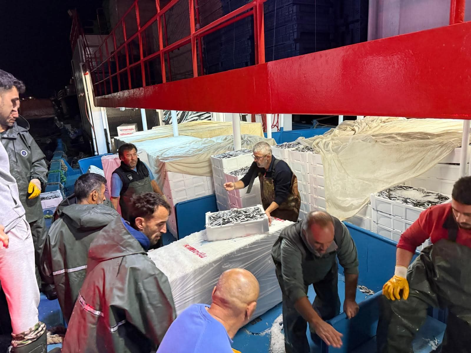 Samsun'da Hamsi Avcılığında Denetimler Aralıksız Devam Ediyor (2)