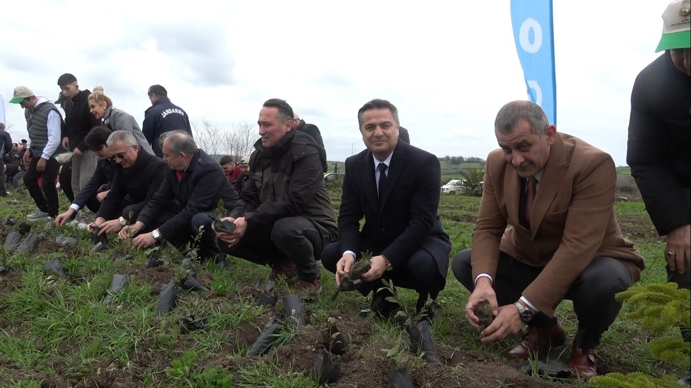 Bafra'da Minik Eller 3 Bin Fidanı Toprakla Buluşturdu (3)