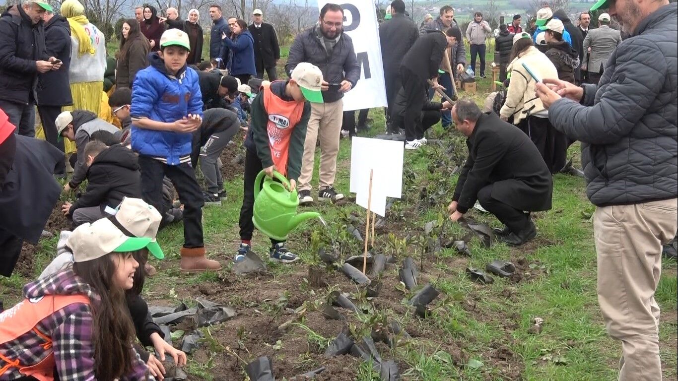 Bafra'da Minik Eller 3 Bin Fidanı Toprakla Buluşturdu (6)