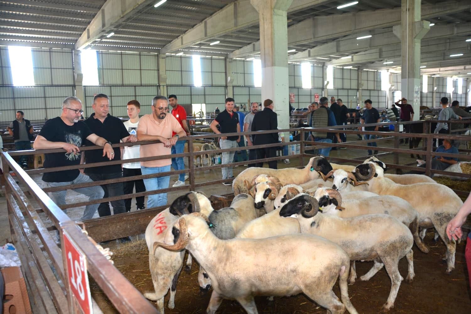 Başkan Kocabaş’tan Arife Gününde Canlı Hayvan Pazarı Ziyareti (1)