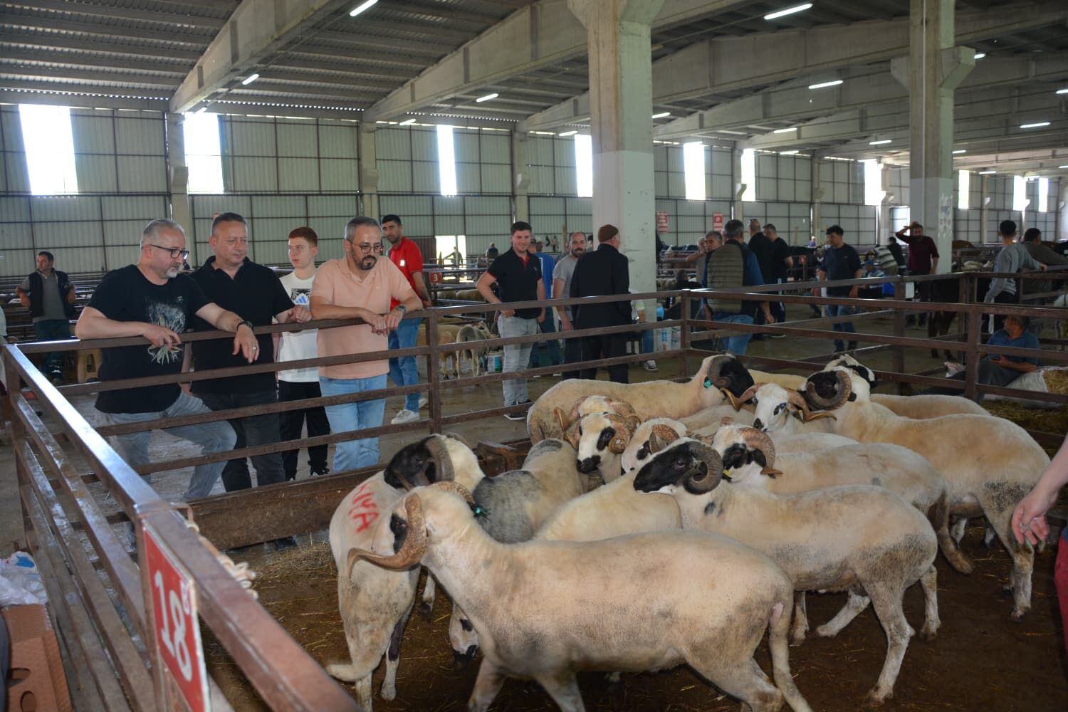 Başkan Kocabaş’tan Arife Gününde Canlı Hayvan Pazarı Ziyareti (7)