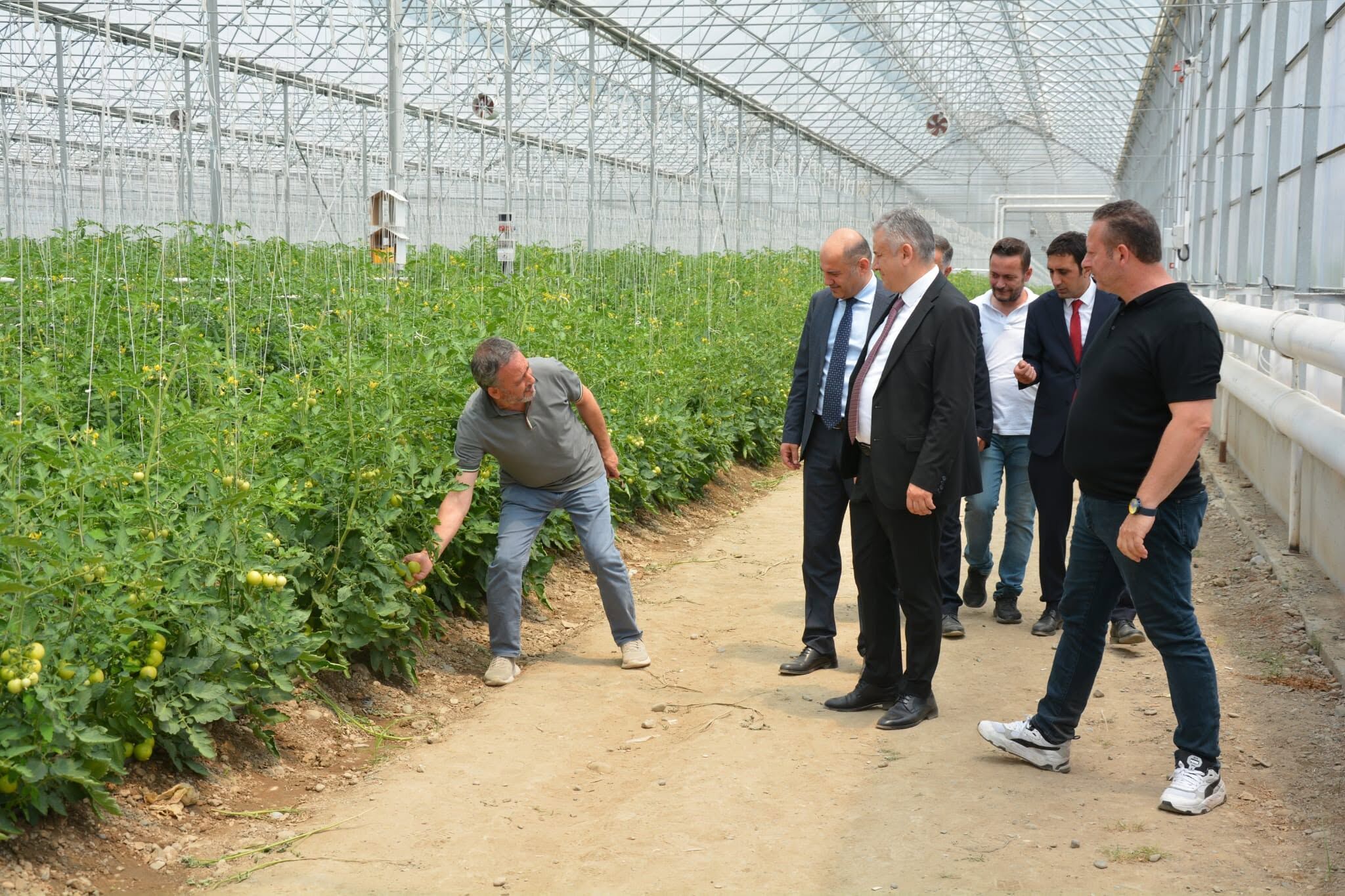 Ziraat Bankası Ve Bafra Tso’dan Sera Otb’de Ortak İnceleme (2)