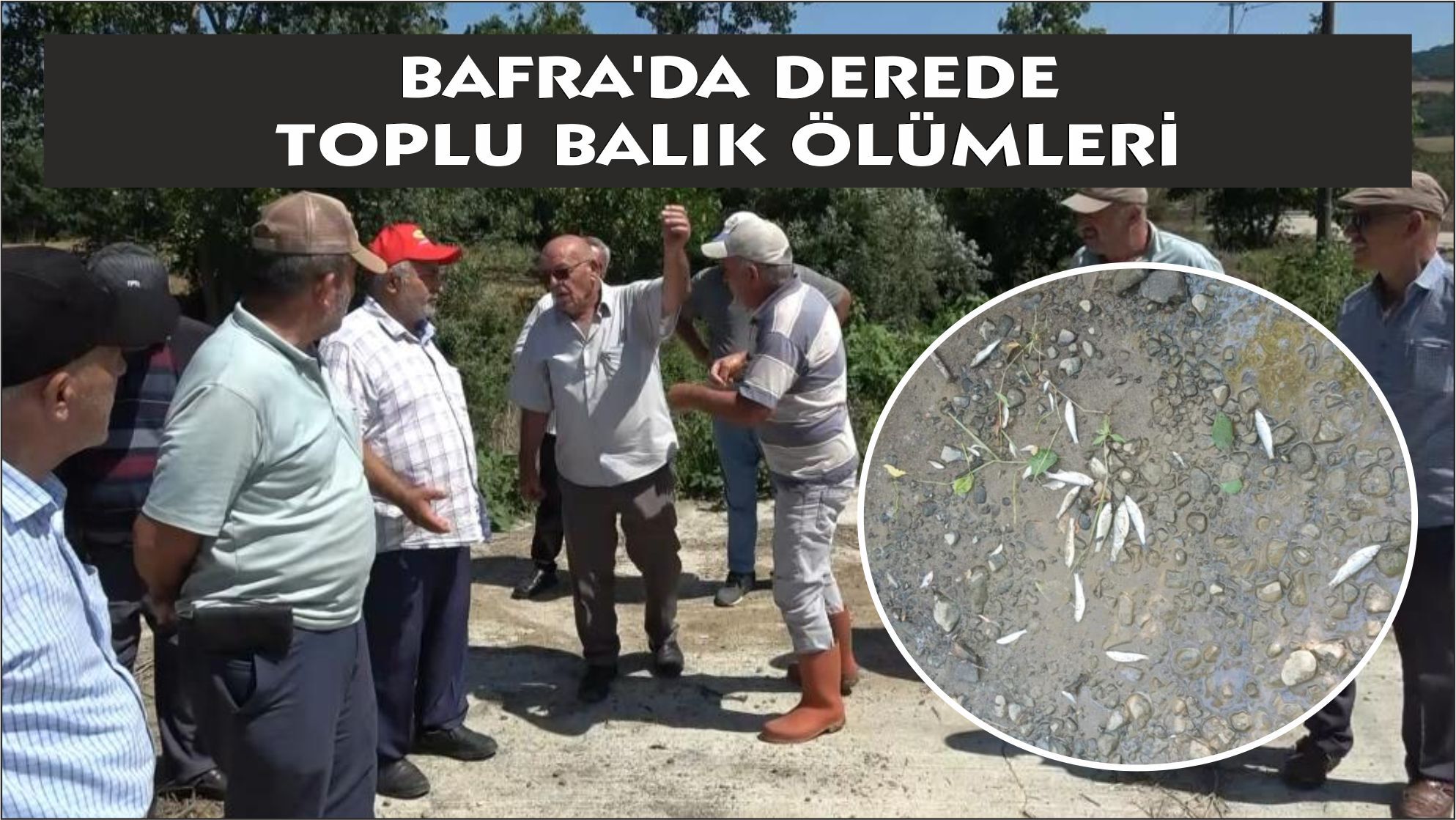 Bafra'da derede toplu balık ölümleri: Mahalleli kalıcı çözüm istiyor
