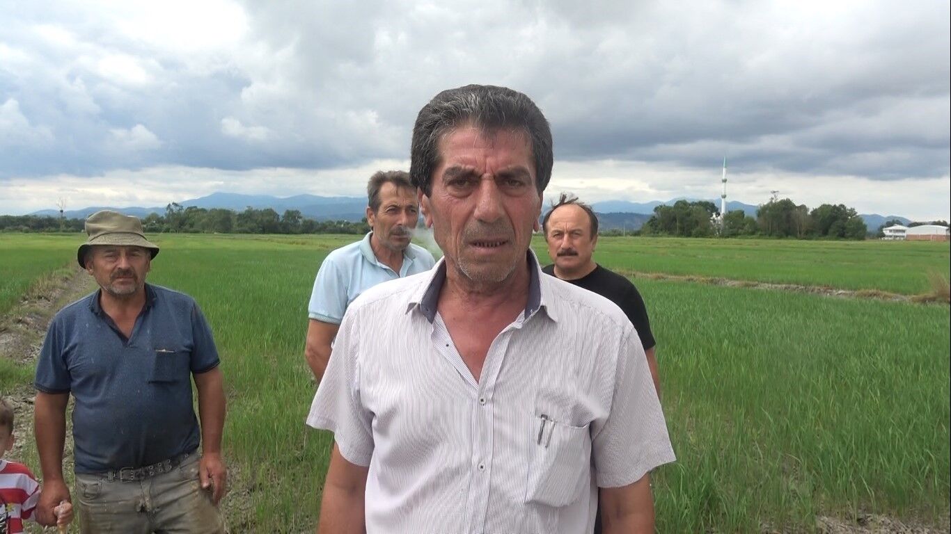 Bafralı Çeltik Üreticilerinden Su Çağrısı “Çeltikler Yanmak Üzere” (1)