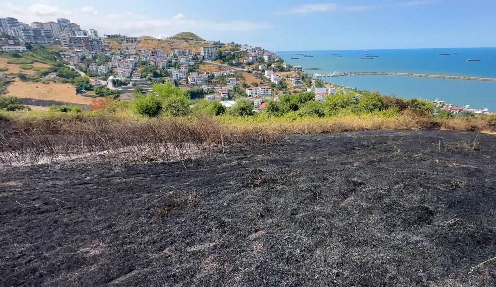 Samsun'da Otluk Alan Yangını,10 Dönüm Alan Zarar Gördü2