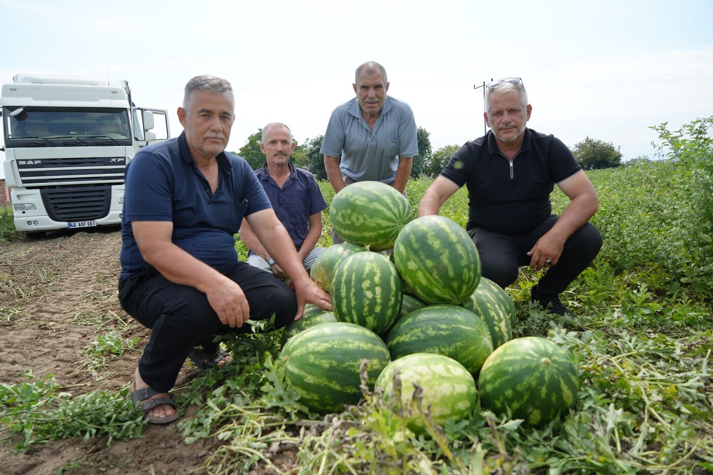 Bafra Ovası'nda baldan tatlı hasat: Kavun-karpuz bereketi