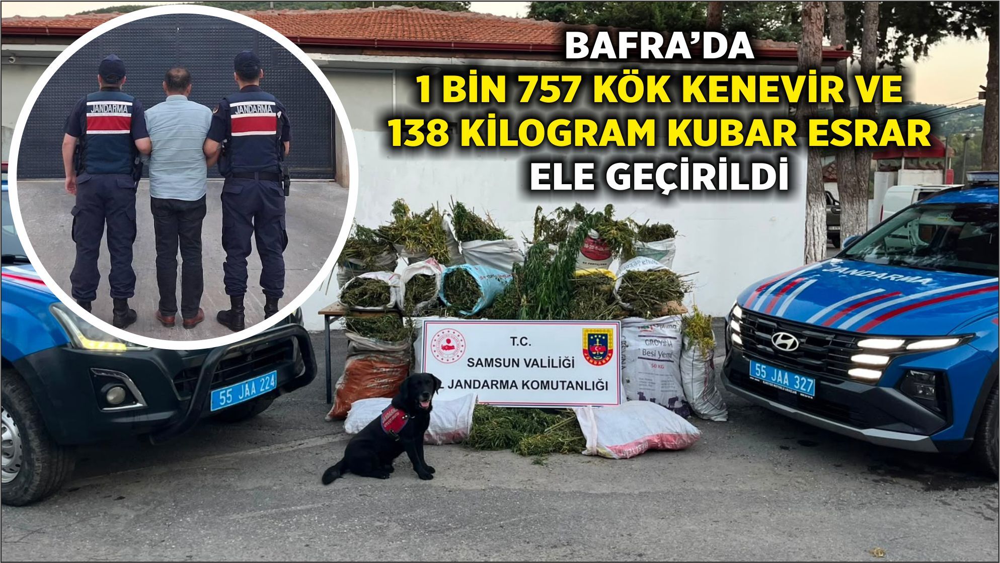 BAFRA’DA 1 BİN 757 KÖK KENEVİR VE 138 KİLOGRAM KUBAR ESRAR ELE GEÇİRİLDİ