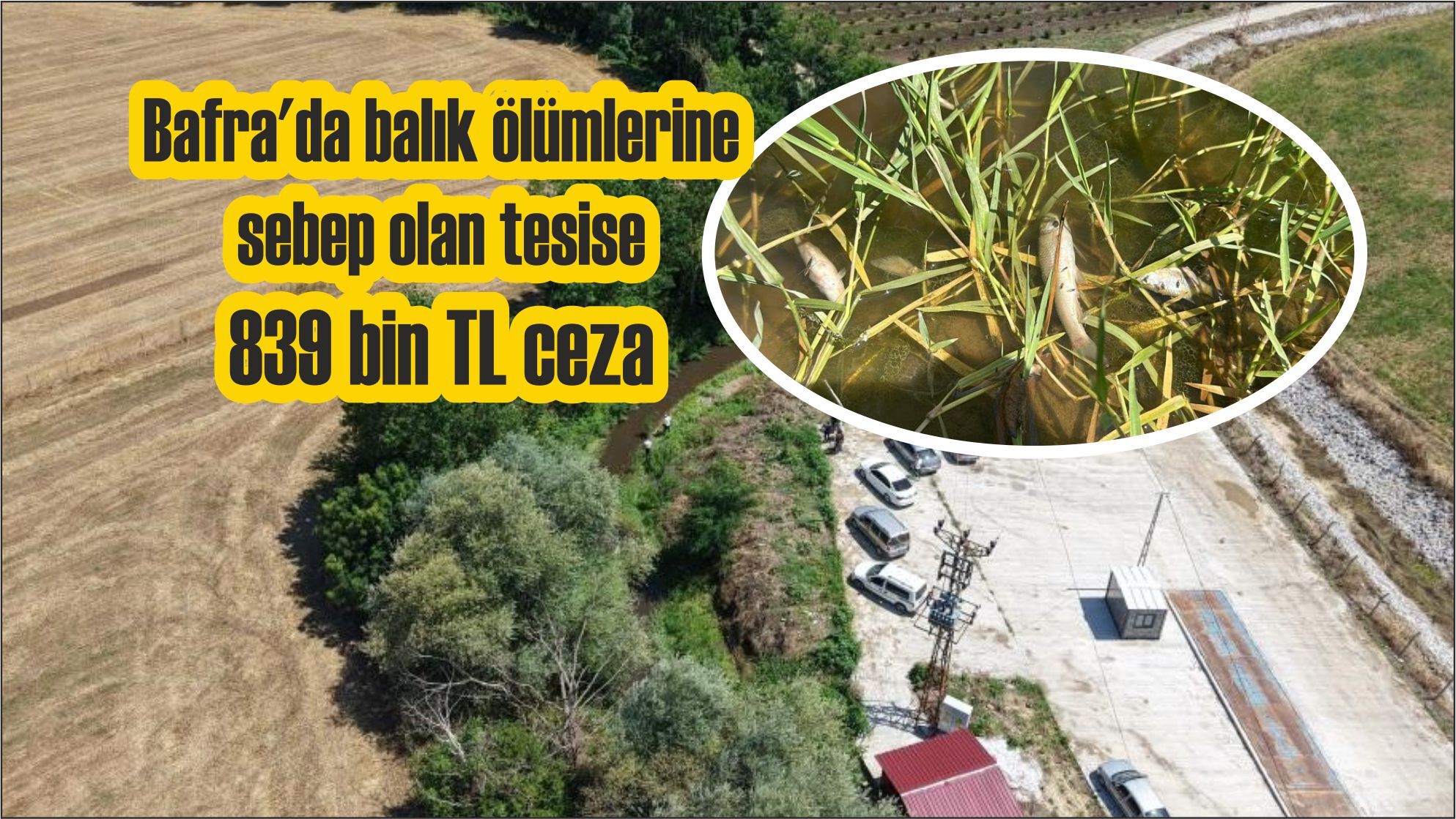 Bafra'da balık ölümlerine sebep olan tesise 839 bin TL ceza