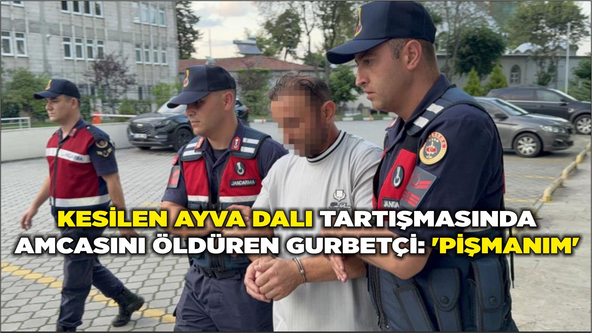 Kesilen ayva dalı tartışmasında amcasını öldüren gurbetçi: 'Pişmanım'