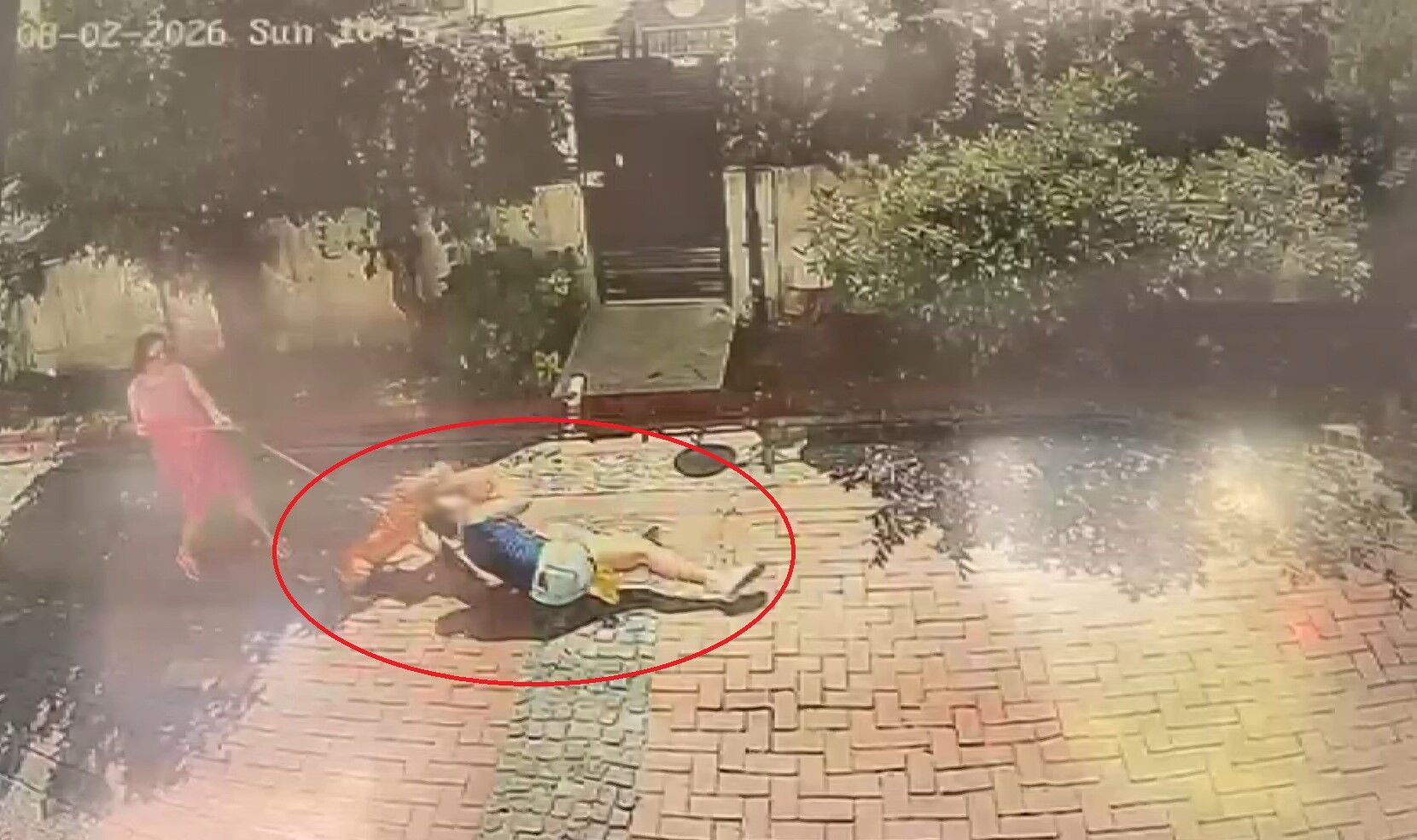 Samsun'da Pitbull, Küçük Kızı Yere Savurdu,