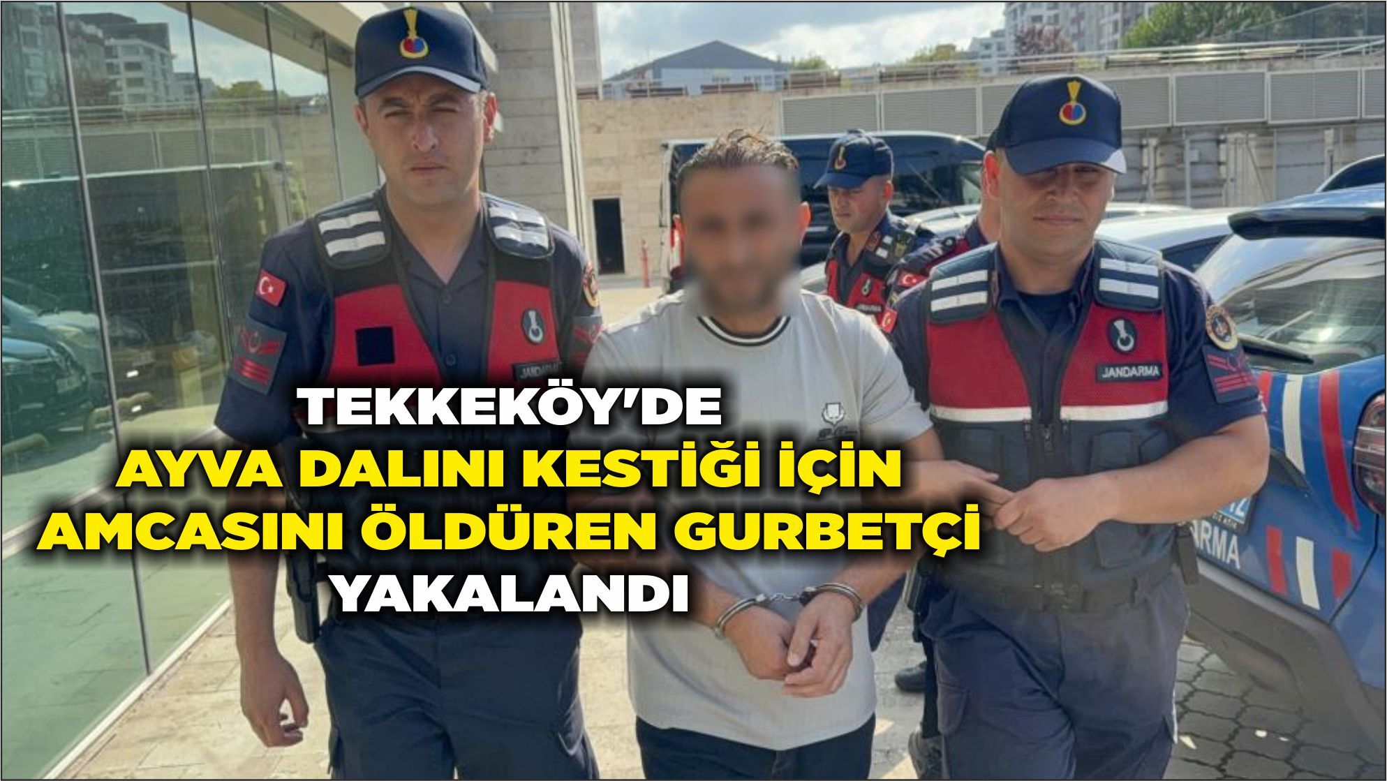 Tekkeköy'de ayva dalını kestiği için amcasını öldüren gurbetçi yakalandı