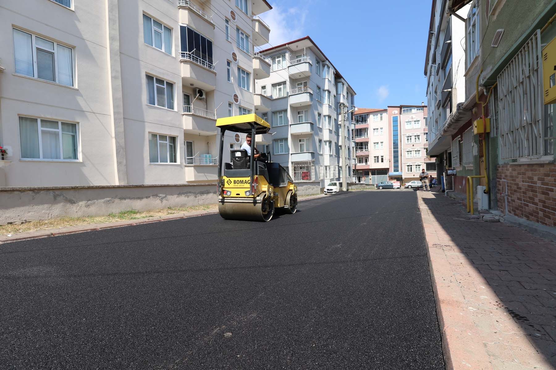 Altinyaprak Mah Emi̇rgan Sk (1)