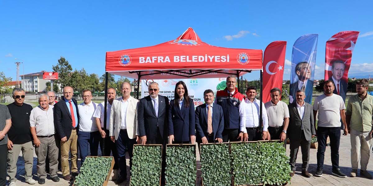 Bafra’da İhracata Uygun Sebze İçin Fide Dağıtıldı (1)