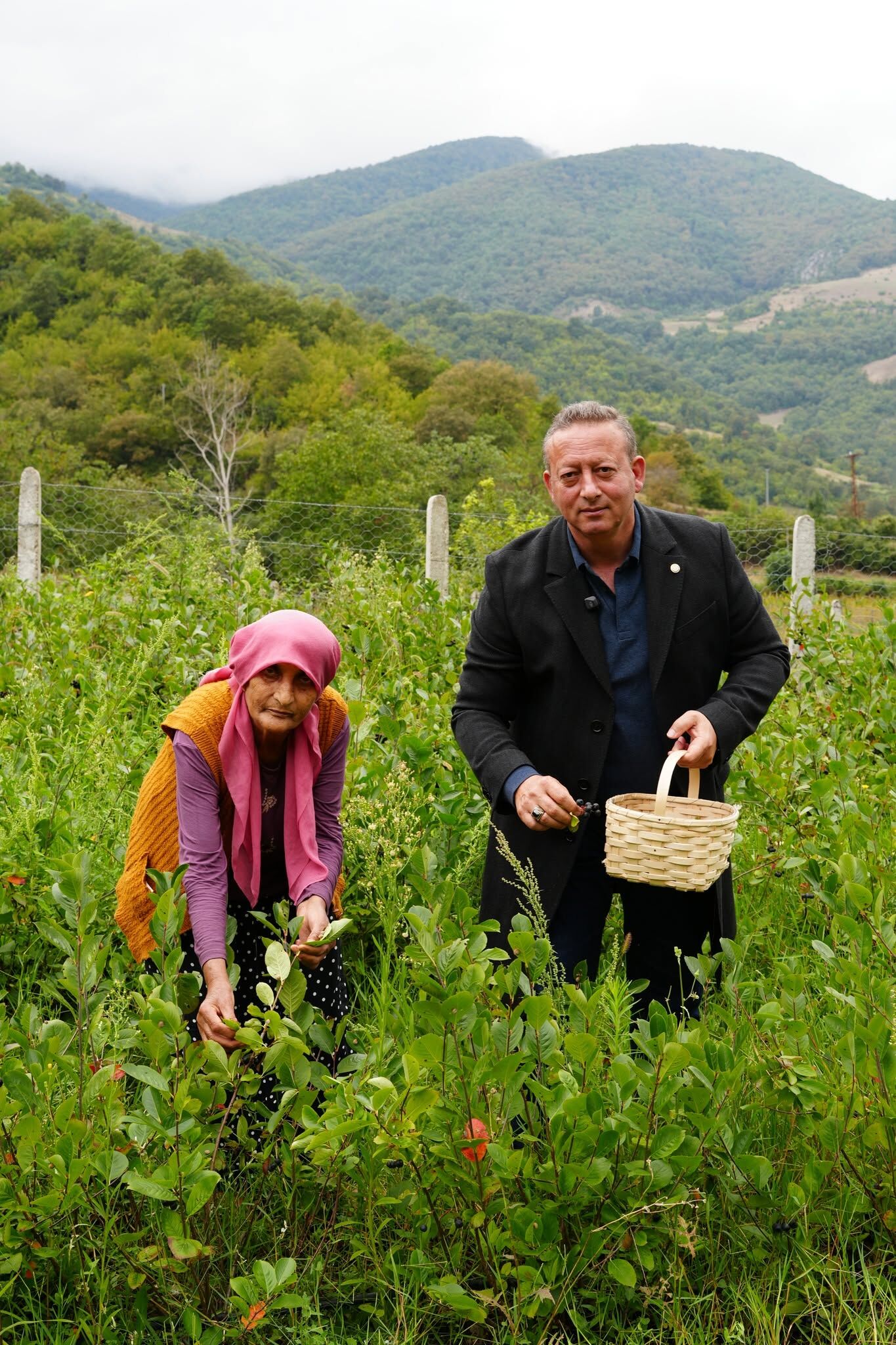 Başkan Serdal Sefa Kocabaş, Aronya Yetiştirme Alanlarını İnceledi (2)