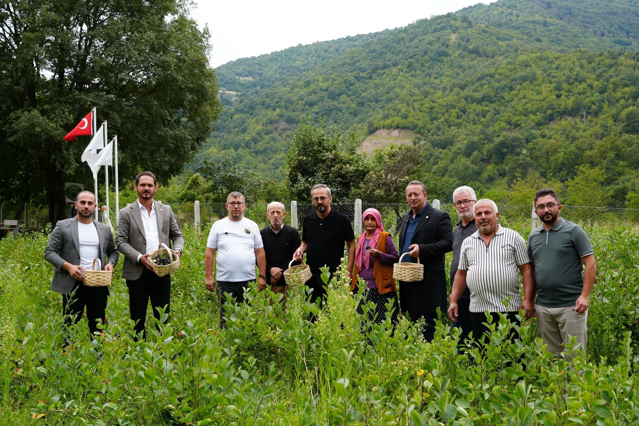 Başkan Serdal Sefa Kocabaş, Aronya Yetiştirme Alanlarını İnceledi (3)