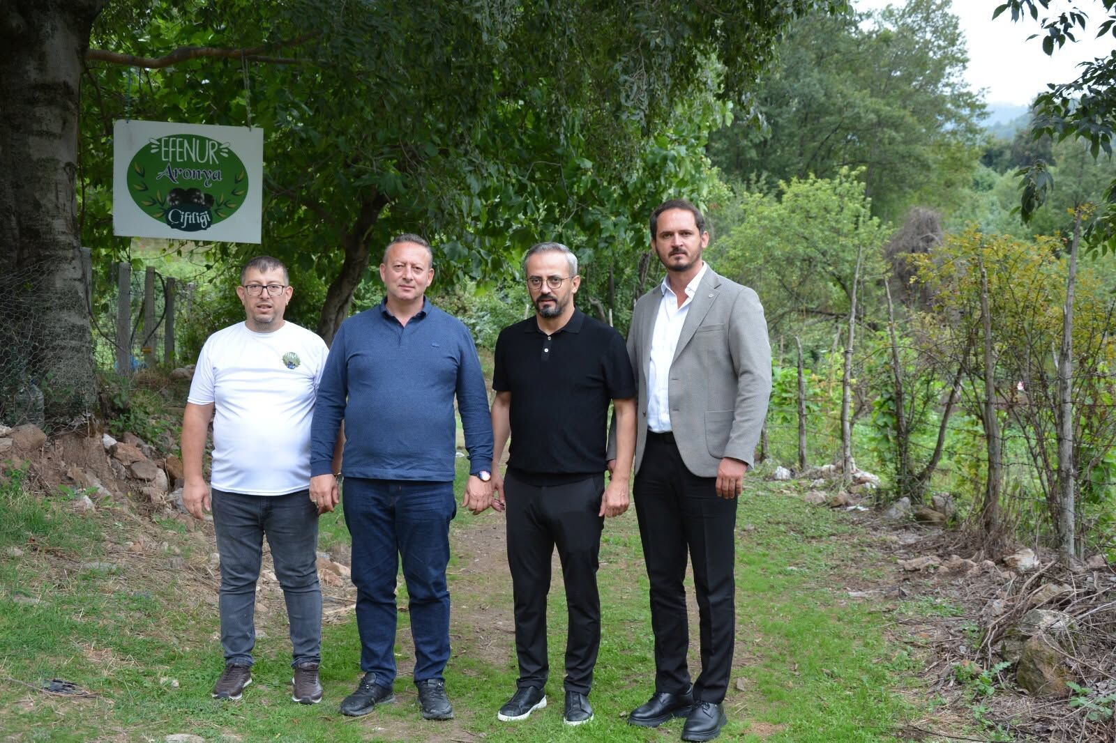 Başkan Serdal Sefa Kocabaş, Aronya Yetiştirme Alanlarını İnceledi (5)