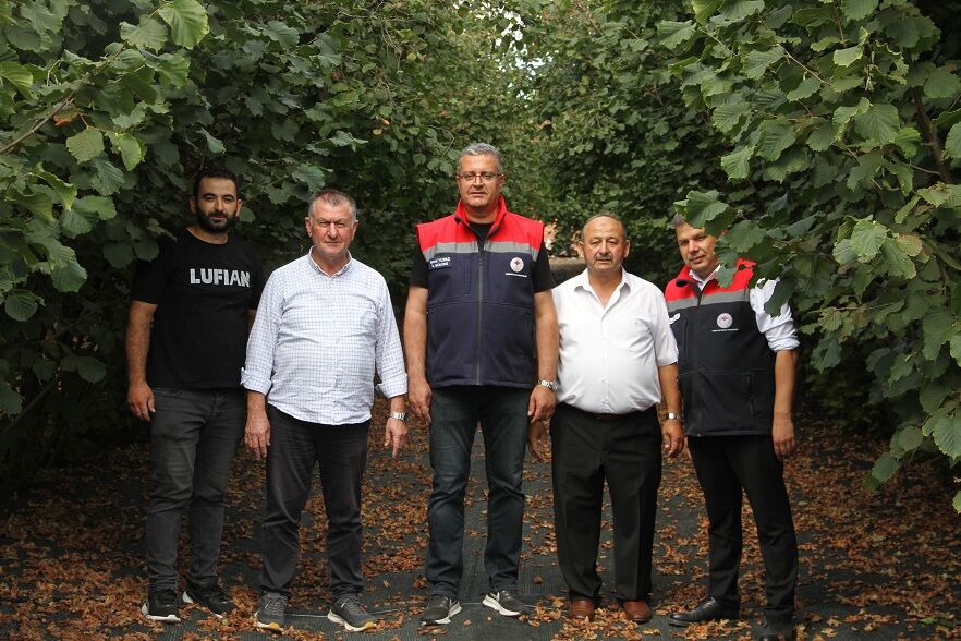 Fındıkta Fileli Hasat Dönemi1
