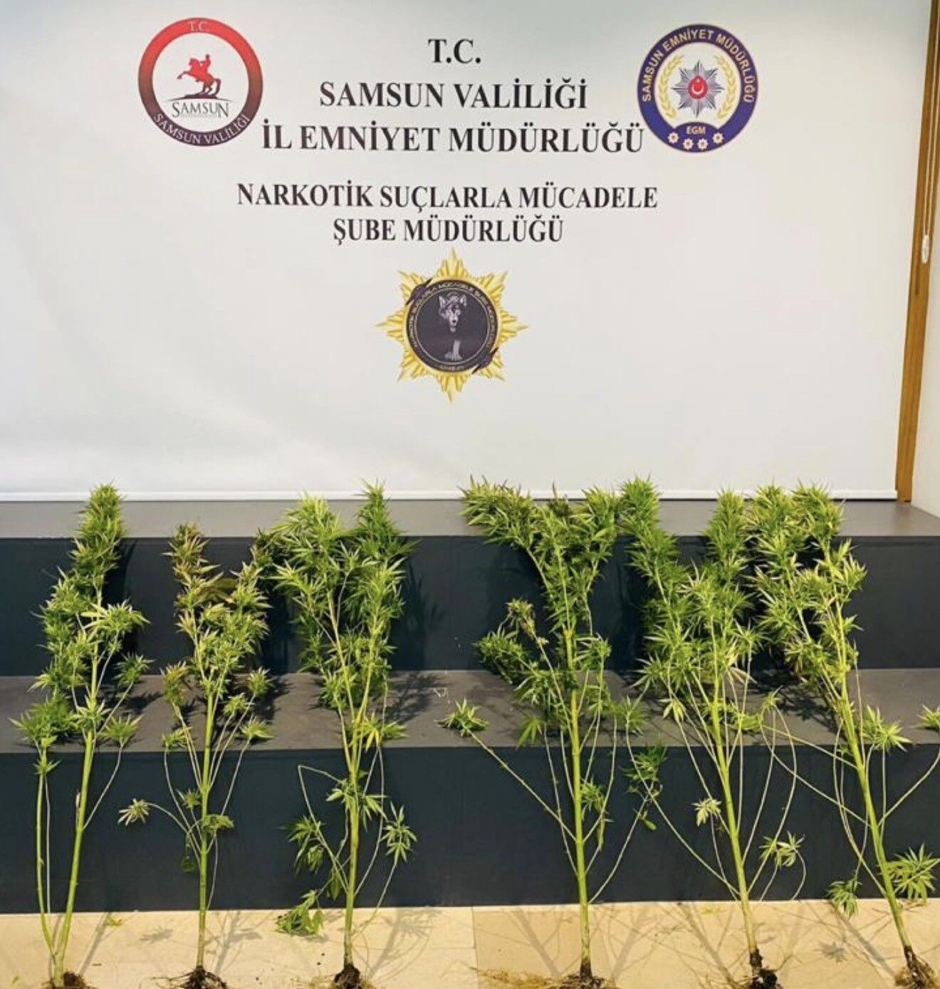 Samsun'da 760 Gram Metamfetamin Ele Geçirildi (4)